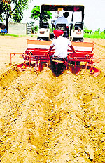 A farmer sowing maize in Singhpura village in Sangrur on Sunday