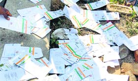 Aadhaar cards lying by the roadside