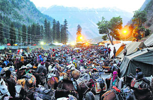 Bakarwals wait with their ponies at the Baltal base camp. Pilgrims hire their services for the journey to the Amarnath cave shrine.