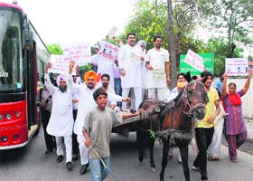 Congress workers raise slogans against the Central Government in a protest against the fuel price hike in Amritsar on Tuesday