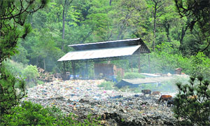 The solid waste management site of the Dharamsala Municipal Council.