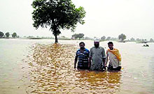 Farmers stand in an inundated field in Abohar