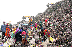 Huge mounds of garbage at the dumping site at Wariana in Jalandhar