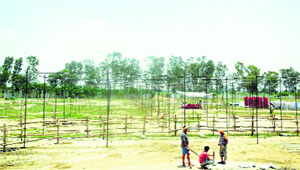 Preparations at Patti Afgan village in Kaithal district are on in full swing.
