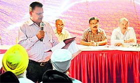 The auction of residential plots under way in Ludhiana on Friday