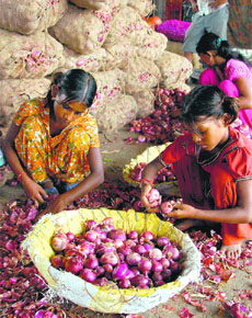 The Centre is cracking down on hoarders to check the rise in onion prices, up 40 per cent since March.
