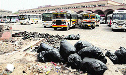 Garbage in plastic bags meant for dumping