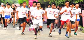 Athletes take part in Chandigarh Marathon, sponsored by The Tribune, at Rock Garden on Sunday.