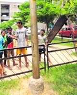 The streetlight pole in Bapu Dham where the boy was electrocuted.