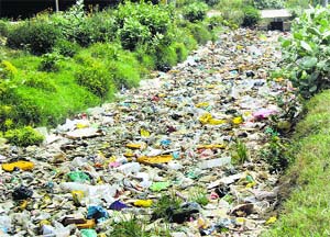 A drain choked with garbage on Disposal Road in Jagraon.