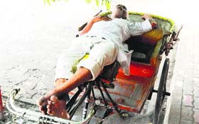 A rickshaw-puller enjoys a nap on a sunny day under the shade of a tree outside the Company Bagh in Amritsar on Monday.