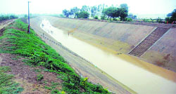 A view of the Hansi-Butana canal near patiala. File photo