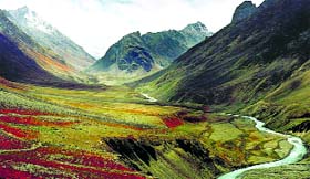 A view of Pin Valley National Park in Lahaul-Spiti, Himachal Pradesh.