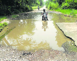 The road connecting Amadalpur village and Buria Chungi has not been repaired for many years, say villagers