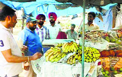 The Health Department staff inspect fruits on sale at a roadside vend in Sherpur, Ludhiana, on Tuesday. A Tribune photograph