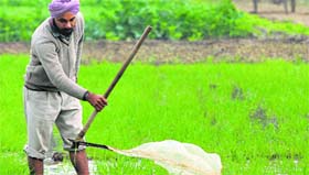 A farmer in his field at Mirzapur village in Patiala district.