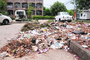 A heap of garbage at the District Administrative Complex in Bathinda.
