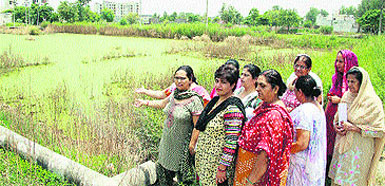 Residents of Jalandhar Vihar show the accumulation of sewage from Wariana village in their locality in Jalandhar on Wednesday.