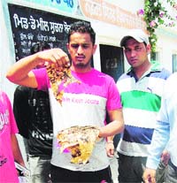 Parents show burnt chapatis of a mid-day meal at Kot Ram Dass Government School Chugitti in Jalandhar.