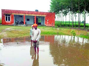 A dispensary in Harkowal village in Hoshiarpur. 