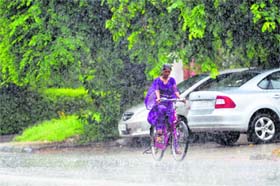 Ride full of joy: A cyclist braves light showers in Sector 27, Chandigarh, on Sunday