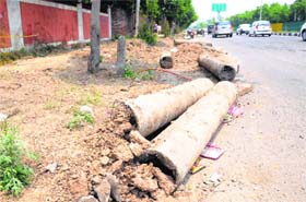To cope with the problem of waterlogging, the Chandigarh MC is laying additional storm water pipelines