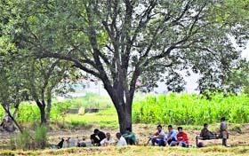 Power pangs: People sit under a tree due to power cuts in Jammu