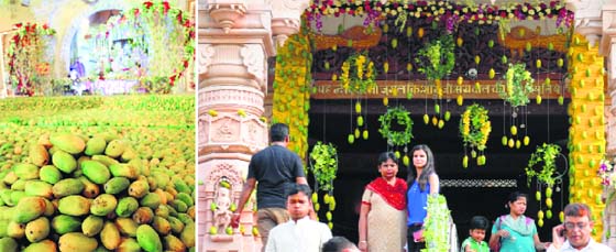 Mangoes put on display at Govind Godham Temple in Ludhiana.