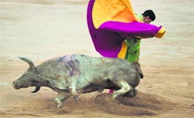 A Spanish bullfighter performs during a bullfight of the San Fermin festival in Pamplona, Spain, on Saturday.