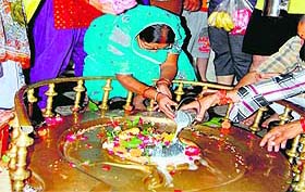 A woman offers milk at the Daksheshwar Mahadev temple at Kankhal in Haridwar on Monday.