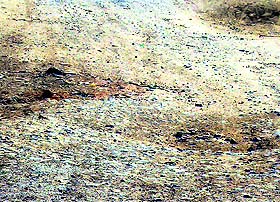 The potholed stretch of the road in Jagraon.