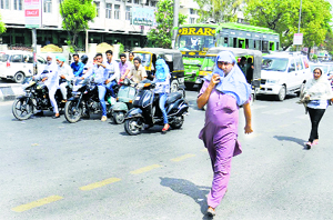 Pedestrians cross the road unmindful of traffic lights in Bathinda