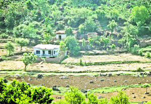 The drought-hit agricultural land in Udhampur district. 