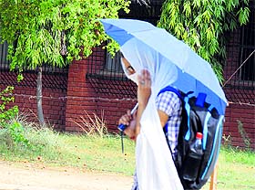 Residents continued to sweat it out in sultry weather in Ludhiana on Tuesday.