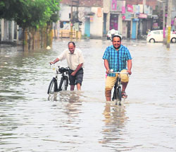 Two cyclists cross a submerged road near the Teachers Home in Bathinda on Thursday.