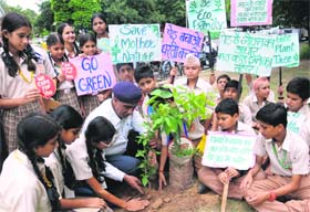 Students of St. Vivekanand Millennium School plant saplings along with traffic police personnel at the Sector 17/18 light point in Chandigarh on Thursday