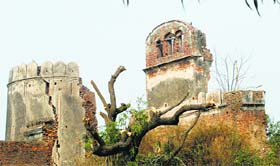 Ruins of Manauli Fort, Punjab