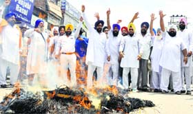 Members of the HSGPCs youth wing protest in Karnal on Thursday.
