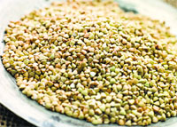 Quinoa seeds