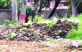 Refuse dumped at Gol Bagh in Amritsar.