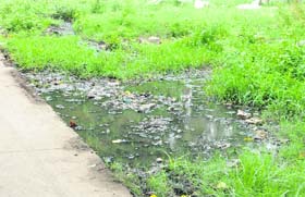 Sewerage at Gol Bagh in Amritsar.