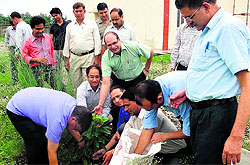 A tree plantation drive in progress at the Uttarakhand State Council for Science and Technology in Dehradun on Saturday