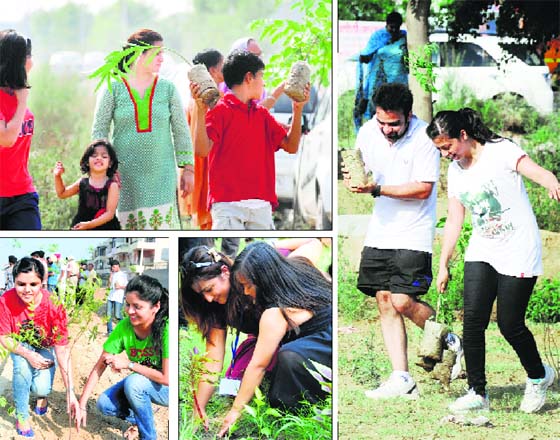 Families came out together to make the Sunday count and turn the Sambhav Foundations initiative into a success
