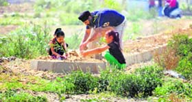 A man plants saplings along with his children during Earth Hour in Ludhiana on Sunday