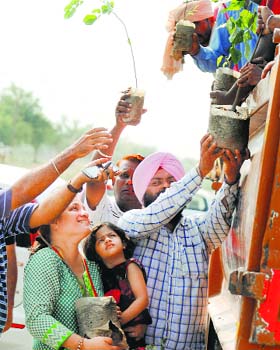 Organisers distribute saplings to help residents achieve the world record in Ludhiana