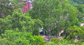 According to the latest Indian State of Forest Report-2013, prepared by the Forest Survey of India (FSI), Chandigarh is ranked third in terms of percentage of area under tree cover.