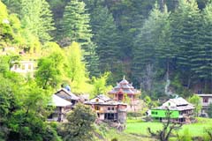 Ropa village in the GHNPs ecozone. Tribune photo