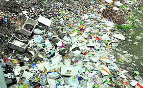 A garbage dump near a flyover opposite the factory area in Patiala. 