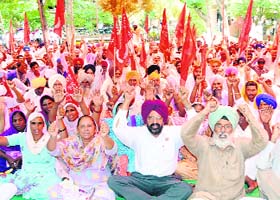 Members of the Border Area Sangharsh Committee stage a protest outside the DC office in Amritsar on Wednesday