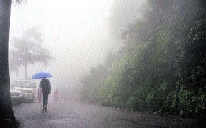 A man walks with an umbrella in dense fog following rain in Shimla on Wednesday.